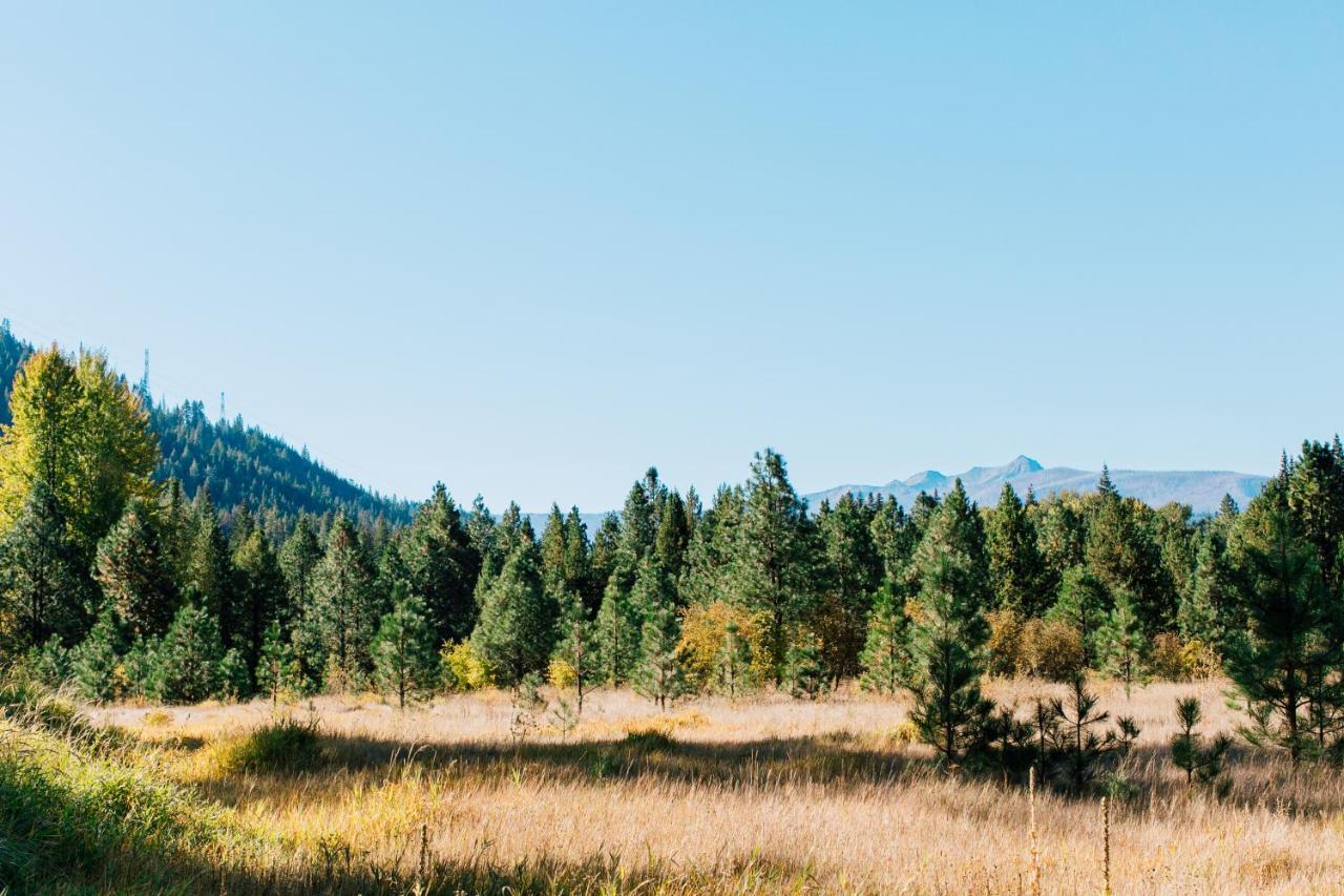 Pine River Ranch